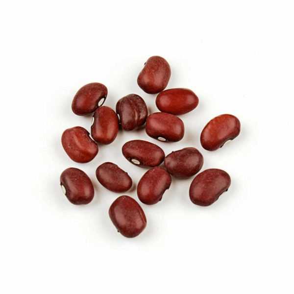 BEAN SMALL RED 100LB/1