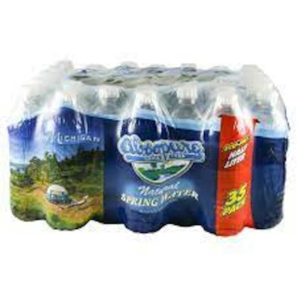 WATER SPRING ABSOPURE 16.9OZ/35