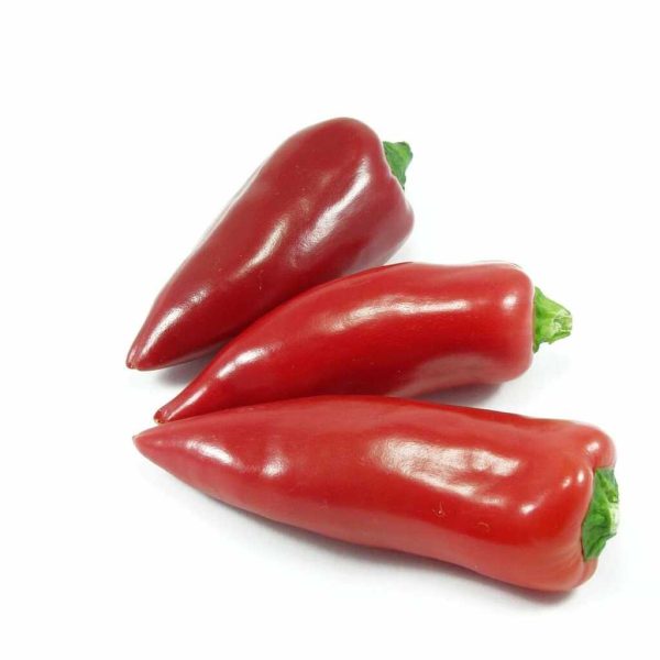 PEPPER PIQUILLO #10 5.5LB/1