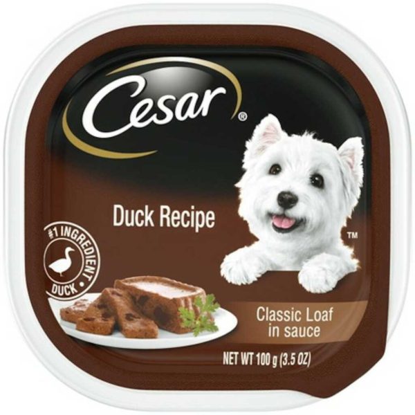 CESAR DUCK IN MEATY JUICES 3.5OZ/24